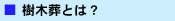 自然葬とは